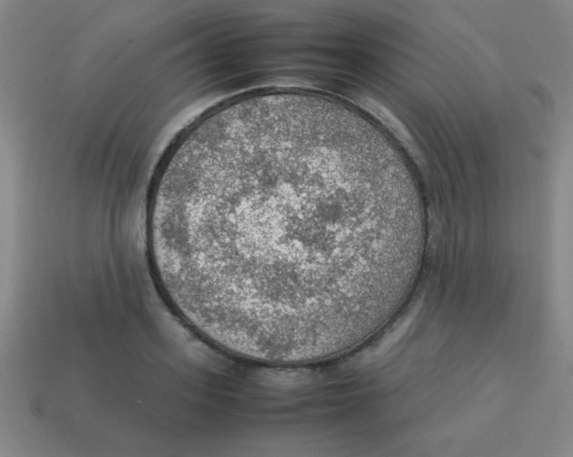 X0000113780939200910211202