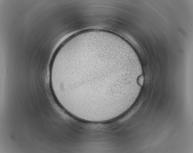 X0000113780940200910211202