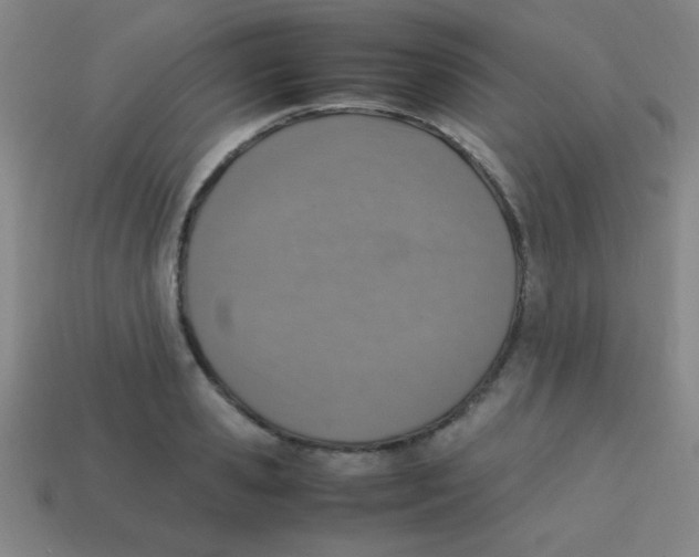 X0000113780941200910211202