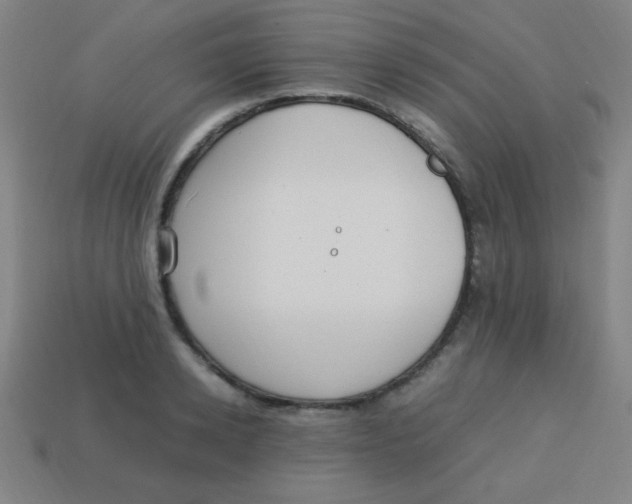 X0000113780942200910211202