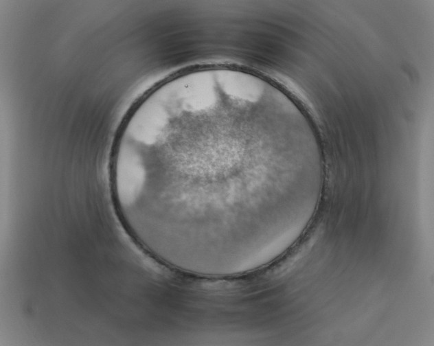 X0000113780943200910211202