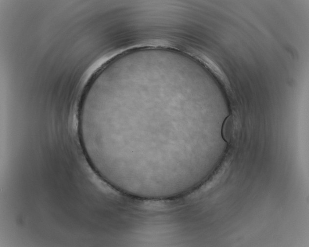 X0000113780944200910211202