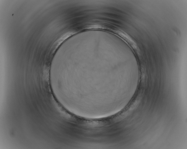 X0000113780945200910211202