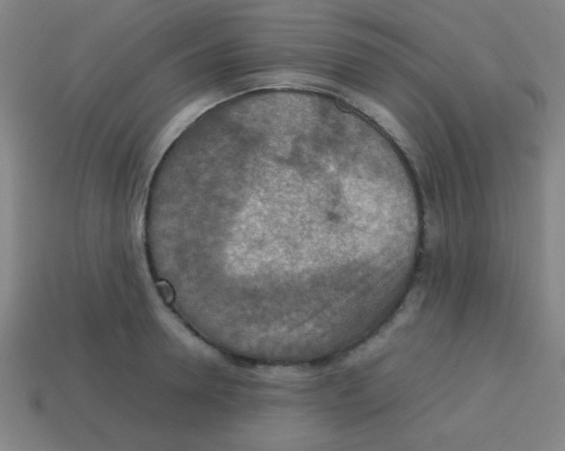 X0000113780946200910211202