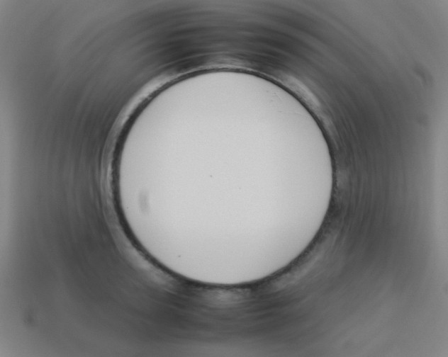 X0000113780947200910211202