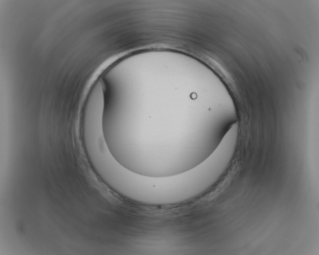 X0000113780948200910211202