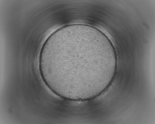 X0000113780949200910211202