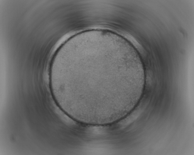 X0000113780950200910211202