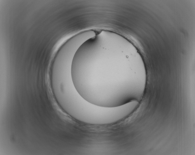 X0000113780952200910211202