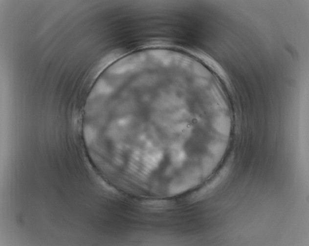 X0000113780953200910211202