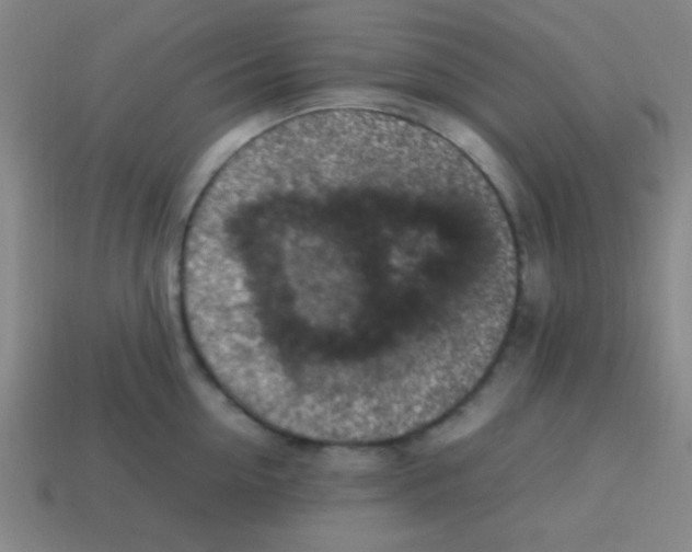 X0000113780954200910211202