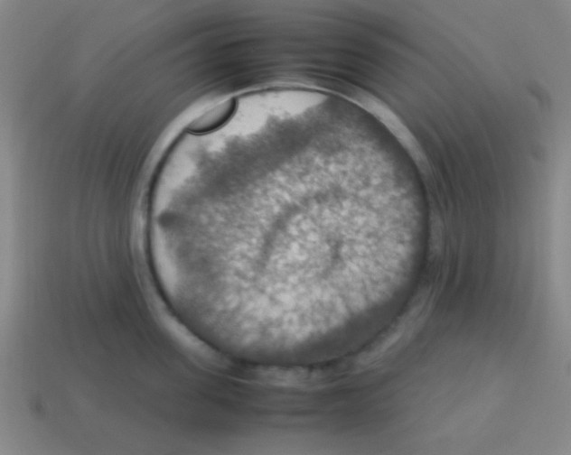 X0000113780955200910211202