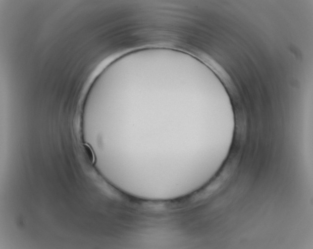 X0000113780956200910211202