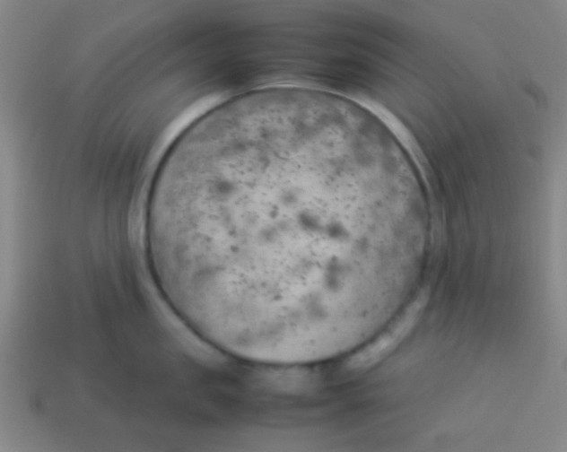 X0000113780957200910211202