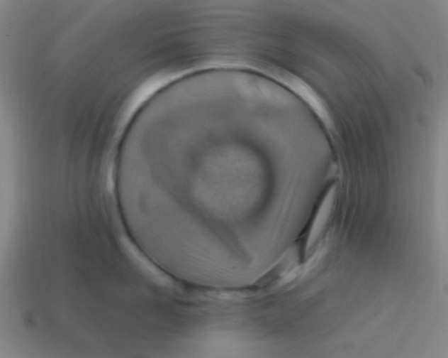 X0000113780958200910211202