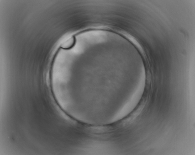 X0000113780959200910211202