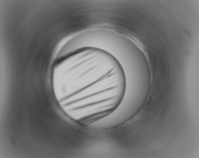 X0000113780960200910211202