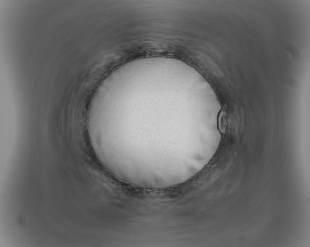 X0000113780961200910211202