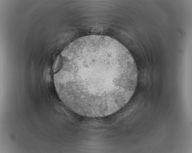 X0000113780962200910211202