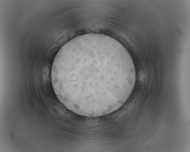 X0000113780964200910211202