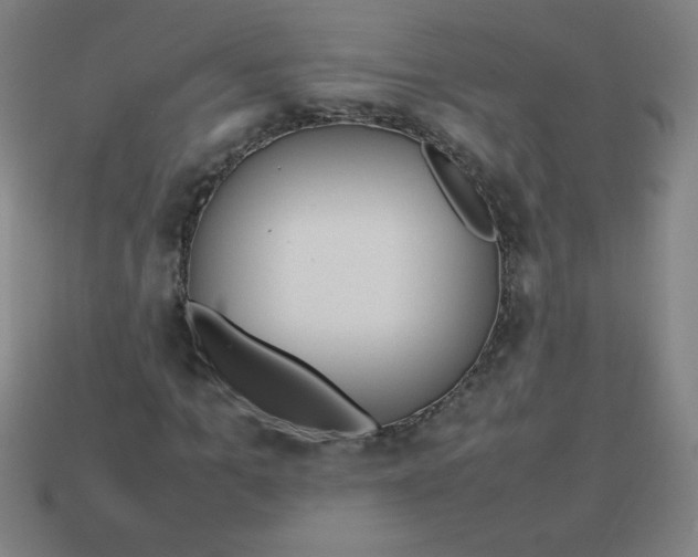 X0000113780965200910211202