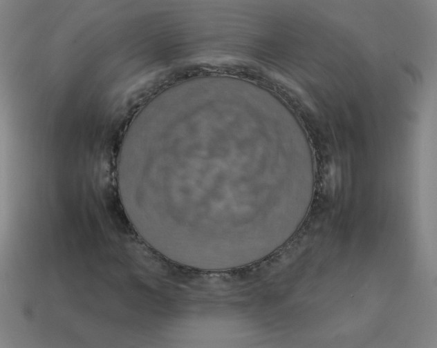 X0000113780966200910211202