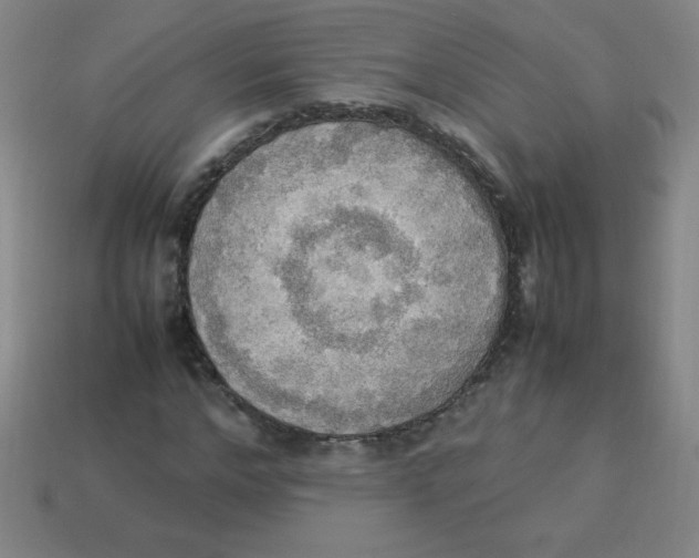 X0000113780968200910211202