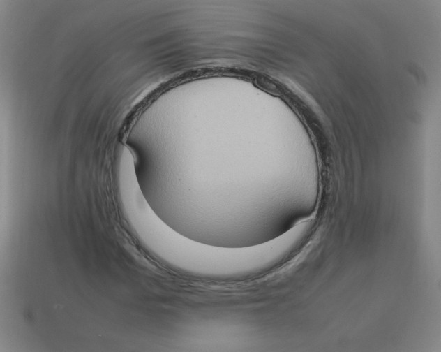 X0000113780969200910211202