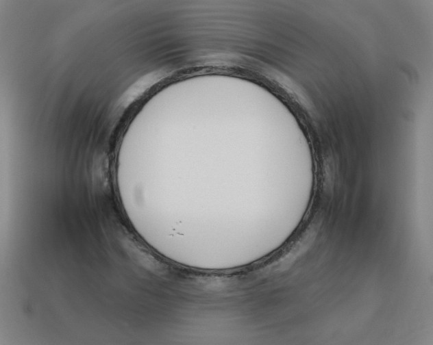 X0000113780970200910211202