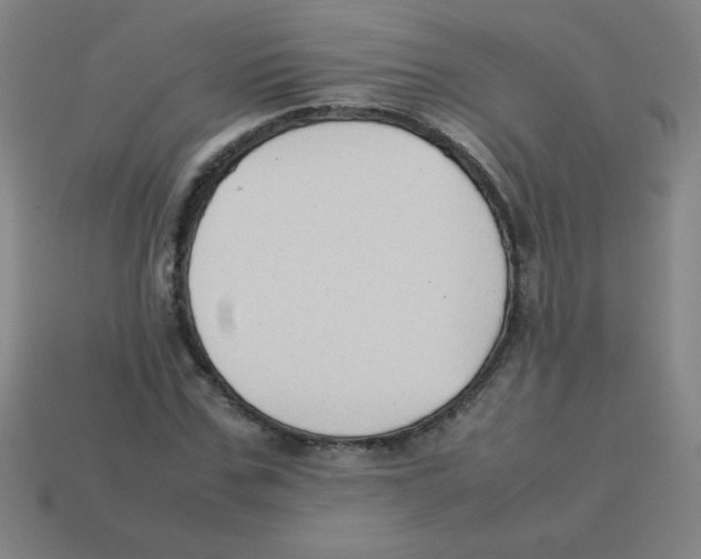 X0000113780971200910211202