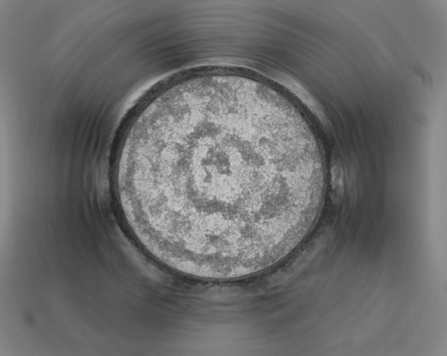 X0000113780972200910211202