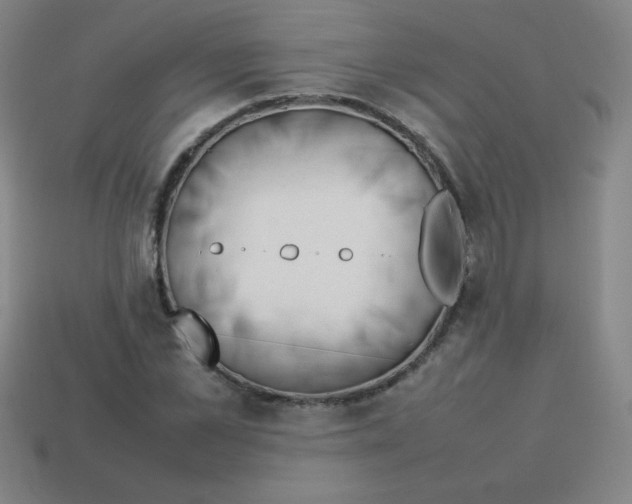 X0000113780973200910211202