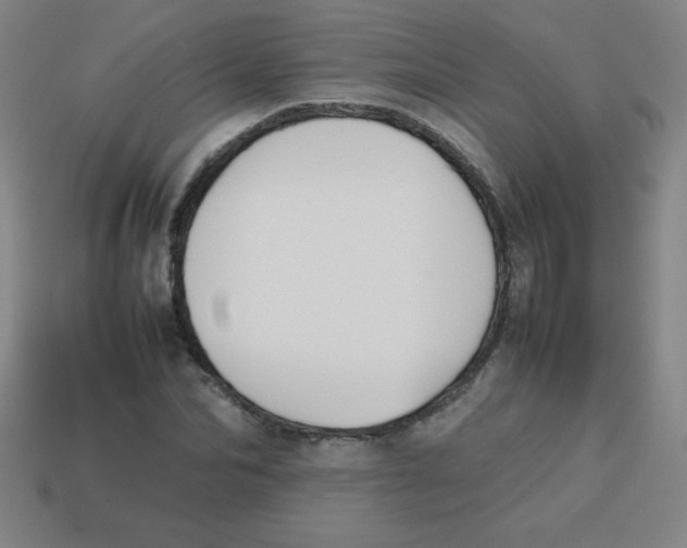 X0000113780974200910211202