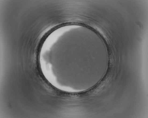 X0000113780975200910211202