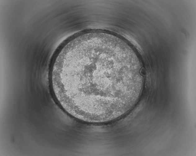 X0000113780976200910211202