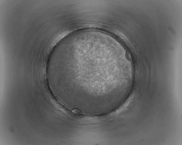 X0000113780977200910211202