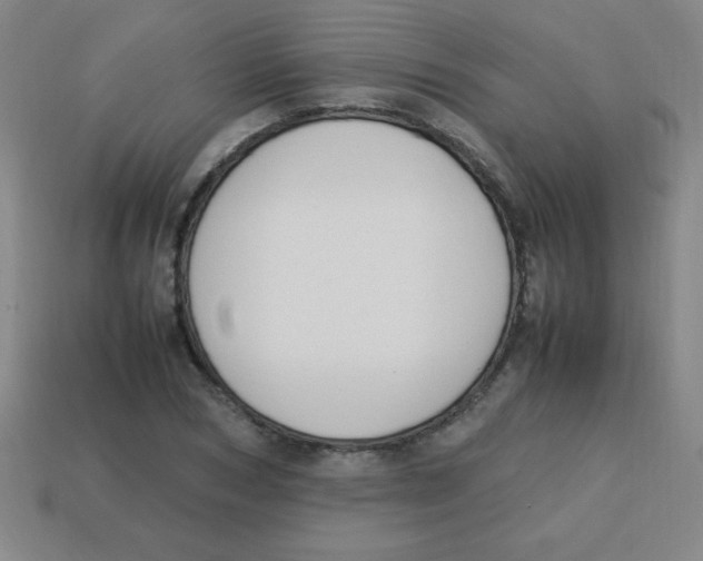 X0000113780978200910211202