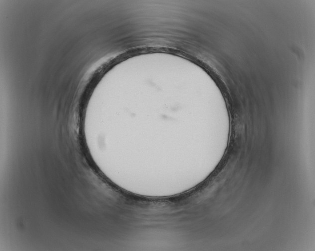 X0000113780979200910211202