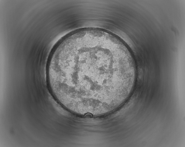 X0000113780980200910211202