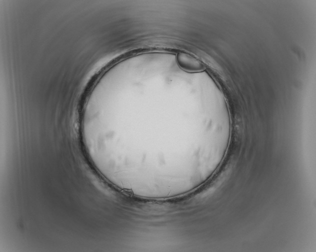 X0000113780981200910211202