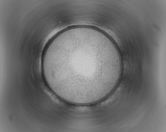 X0000113780982200910211202