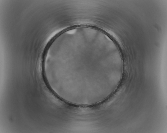 X0000113780983200910211202