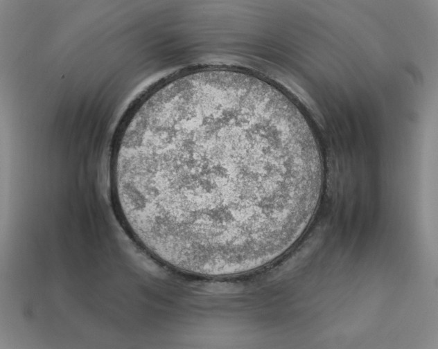 X0000113780984200910211202