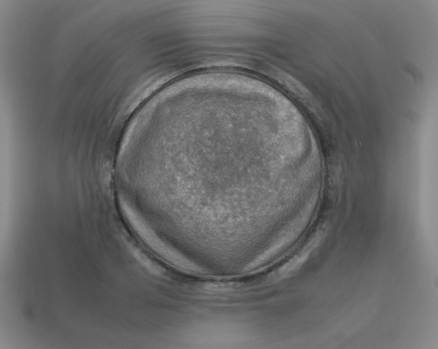 X0000113780985200910211201