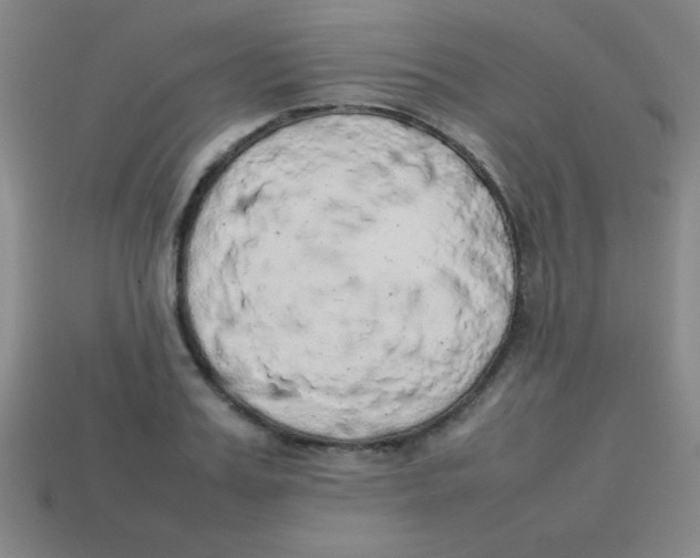 X0000113780987200910211201