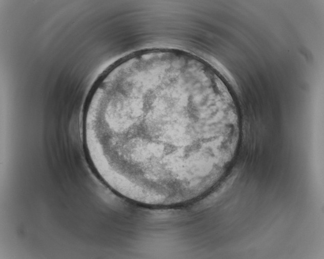 X0000113780988200910211201