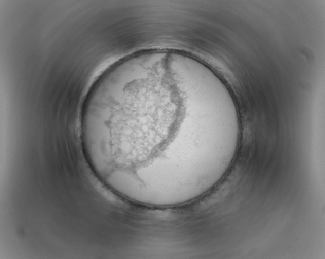 X0000113780990200910211201