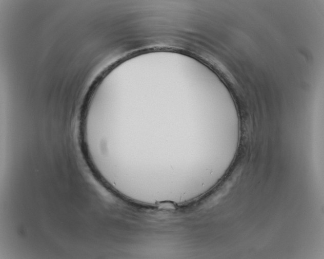 X0000113780991200910211201