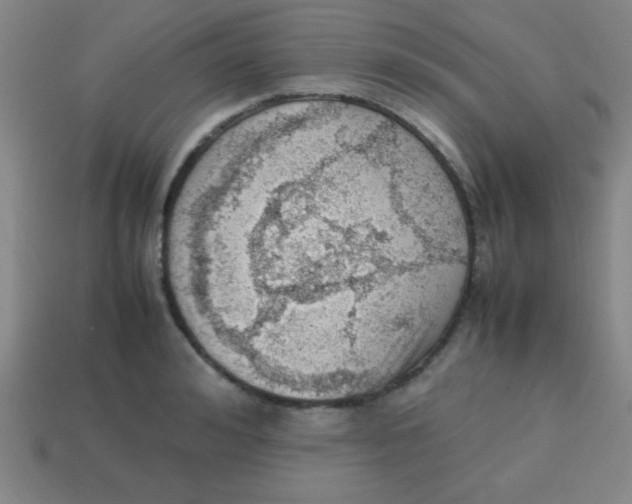 X0000113780992200910211201