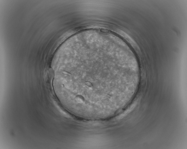 X0000113780993200910211201